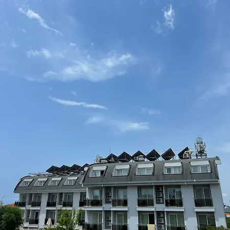 A 3* シダ